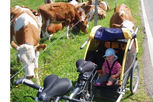 tout terrain singletrailer fietskar