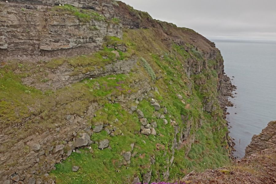 20 juli IJsland 2022 Puffin rots Papegaaiduikers rots deKleineSpaak