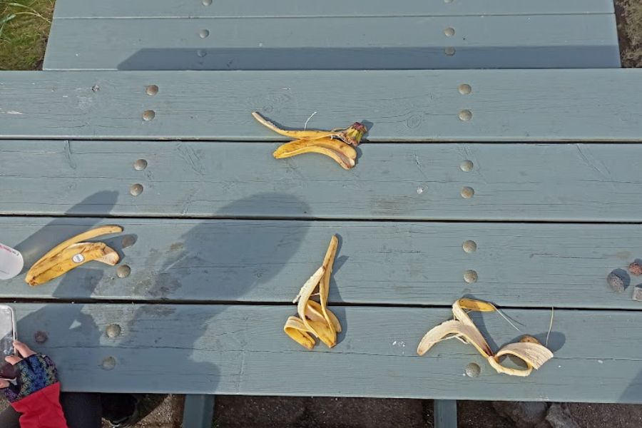 augustus IJsland 2022 banaan op deKleineSpaak