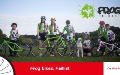 Frogbikes, Failliet